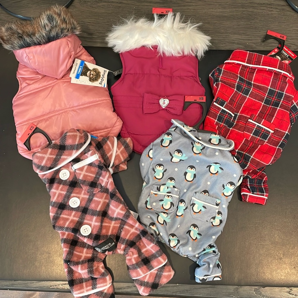 Bundle of dog clothes